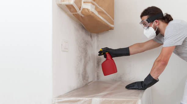 Professional Black Mold Remediation technician working in Stow, MA