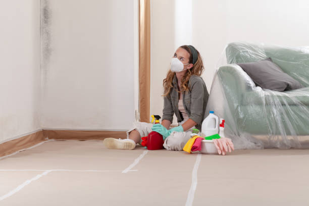 Reliable Black Mold Remediation contractor in Stow, MA by Car Mold Remediation